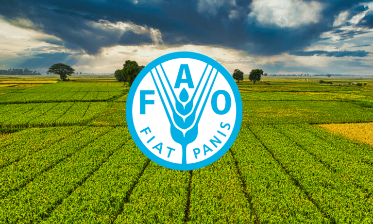 FAO Gıda Fiyat Endeksi