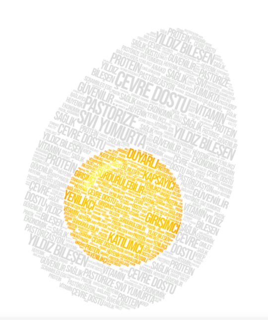 Bir Yumurta Nasıl Sanayi Kurar? Kimsenin Görmediği Fırsat: ANAKO